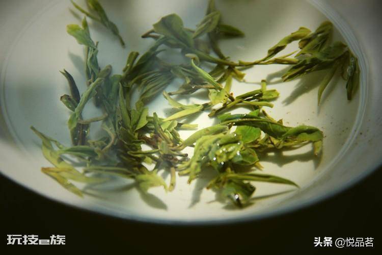 黄山毛峰是绿茶还是红茶(黄山毛峰冲泡后的口感好喝吗)-图片2